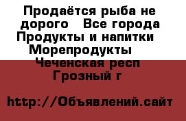 Продаётся рыба не дорого - Все города Продукты и напитки » Морепродукты   . Чеченская респ.,Грозный г.